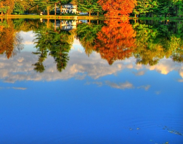 嘉兴选择粉象生活