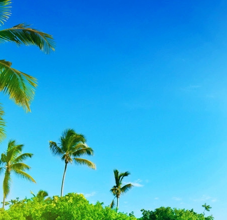 粉象如何升级vip