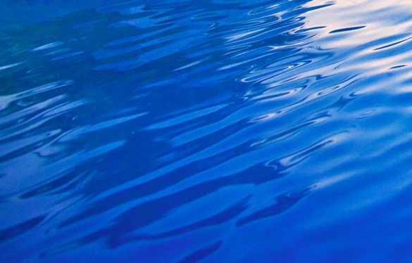 粉象生活用户名能改吗