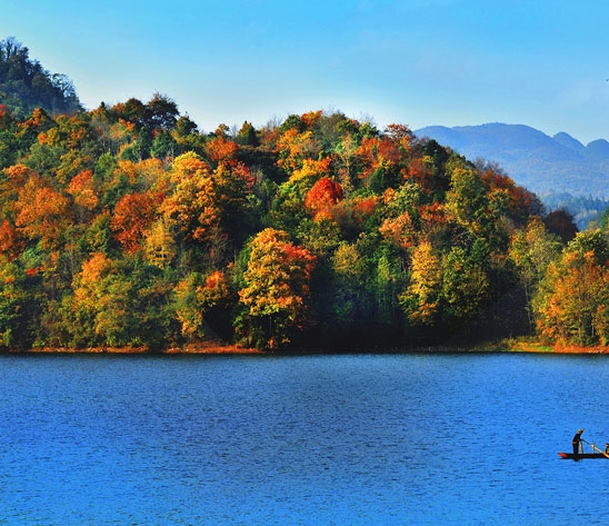 黄山粉象生活app