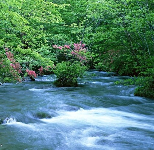 粉象生活的代理商是哪里的