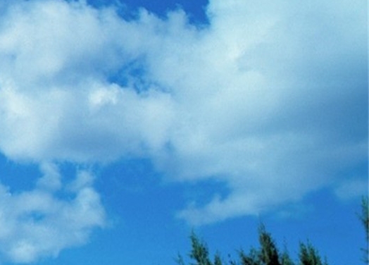 粉象生活升级后大概几天才看到收入