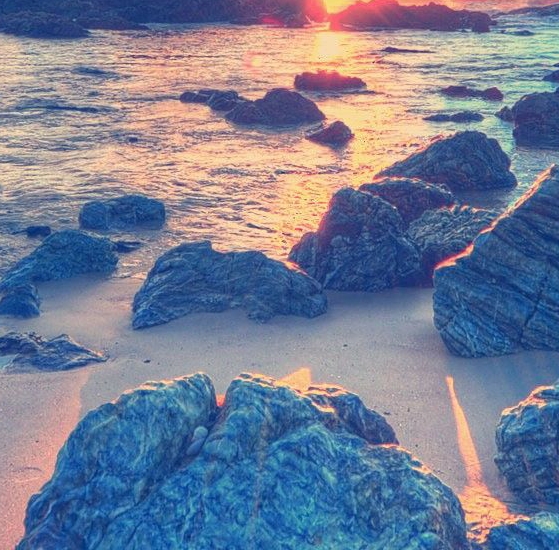 粉象生活怎么赚钱的