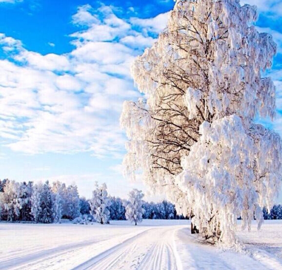 粉象生活新手怎么做