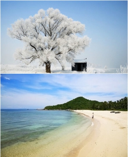 粉象生活能赚到钱吗