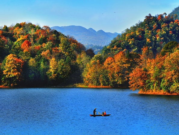 粉象生活邀请码