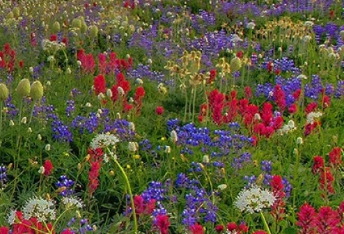 粉象生活推广文案