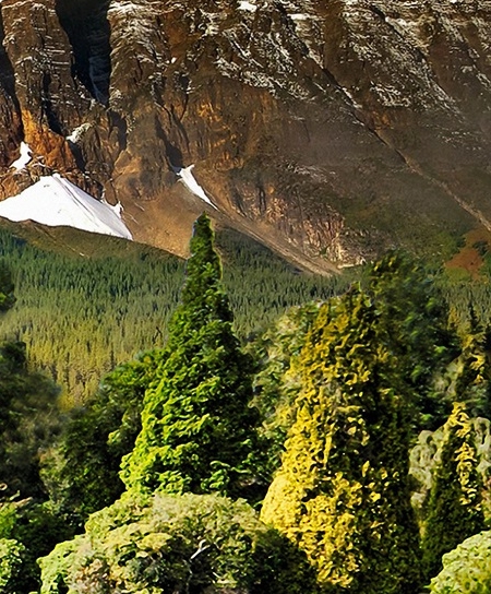 粉象生活能赚到钱吗