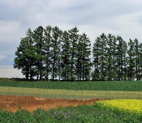 粉象生活下载app