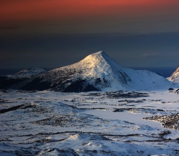 粉象生活粉丝怎么增加