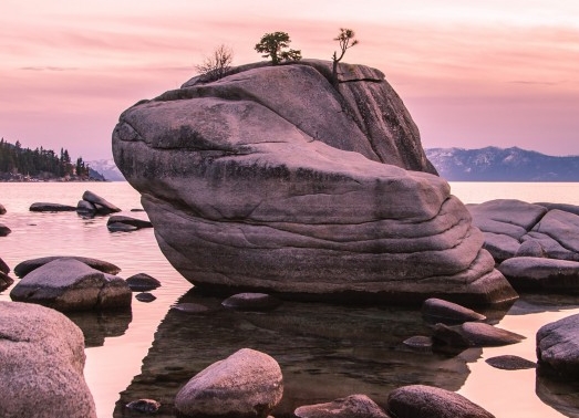 广东粉象生活如何使用