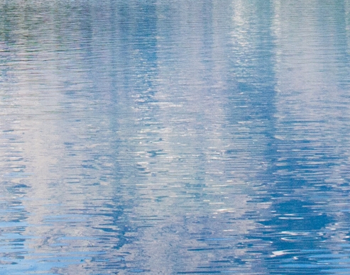 粉象生活能赚到钱吗