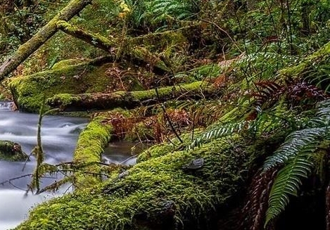 济南本地生活软件
