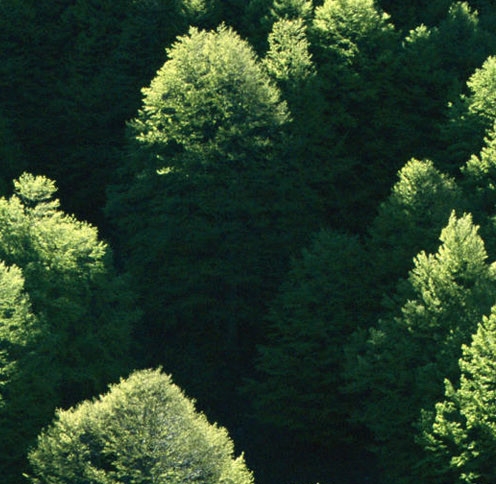 粉象生活淘宝客怎么样