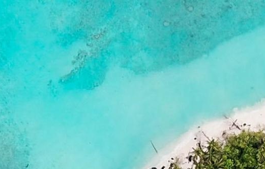 粉象生活赚钱的是真的吗