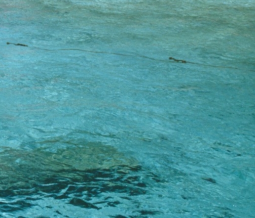 粉象生活怎么赚钱的