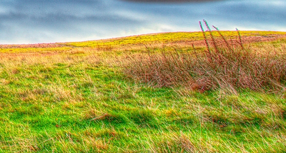 粉象生活怎么设置用户