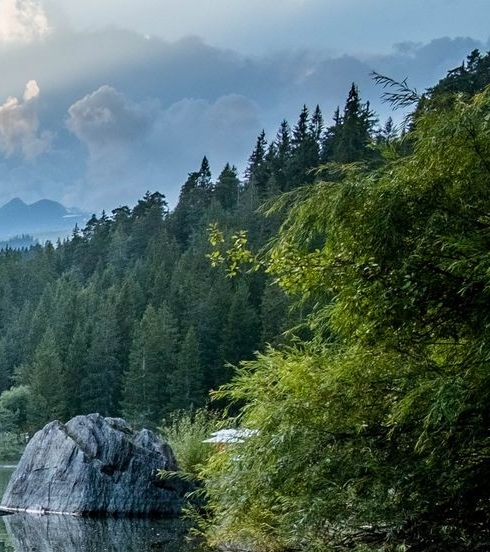 粉象生活APP怎么赚钱