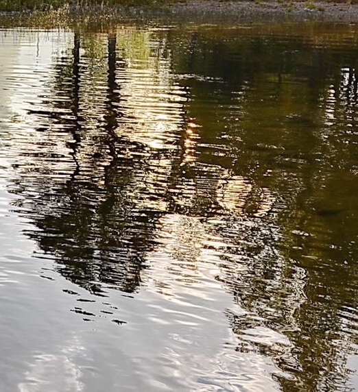 揭阳粉象生活电话