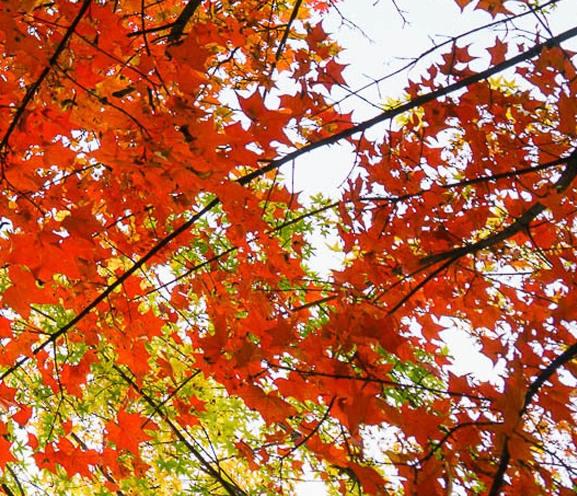 双鱼男不再跟你分享他的生活