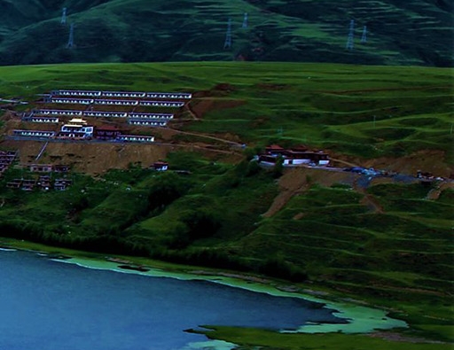 粉象生活和云集