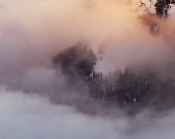 粉象生活 泄露信息