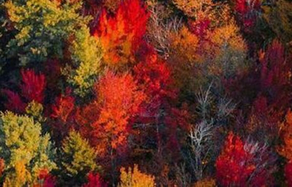 粉象生活是干什么的?怎么赚钱