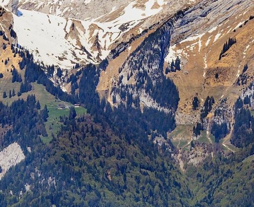 粉象生活分享有收益吗