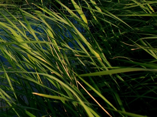 粉象生活可以赚钱吗