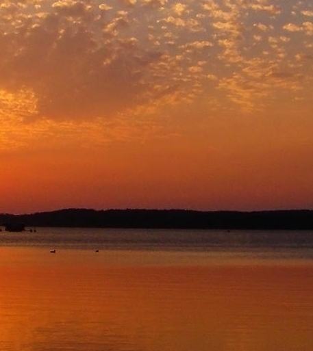 粉象啤酒为什么容易醉