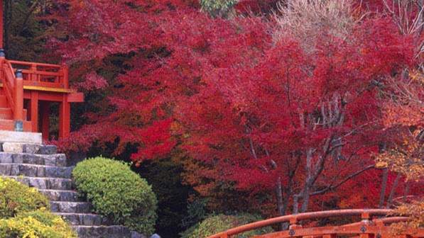 粉象生活上怎么挣钱