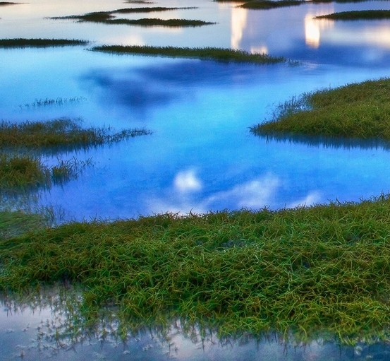 杭州粉象生活公司