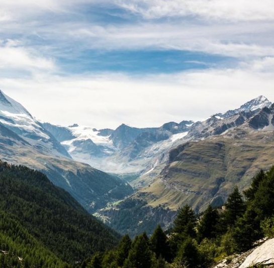 京东粉象生活解除