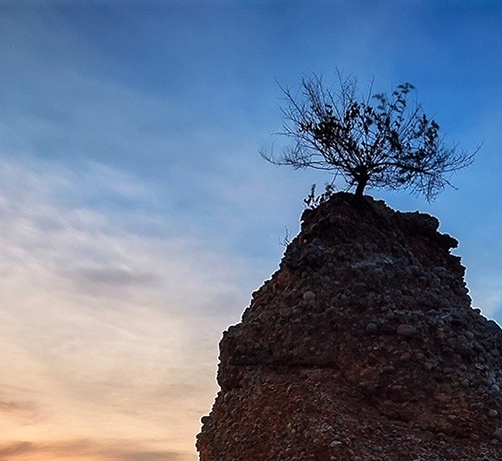 粉象生活能赚到钱吗