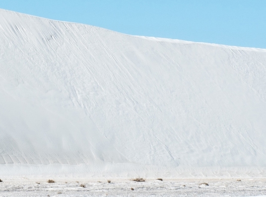 粉象生活邀请码