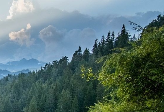 粉象生活推广软件