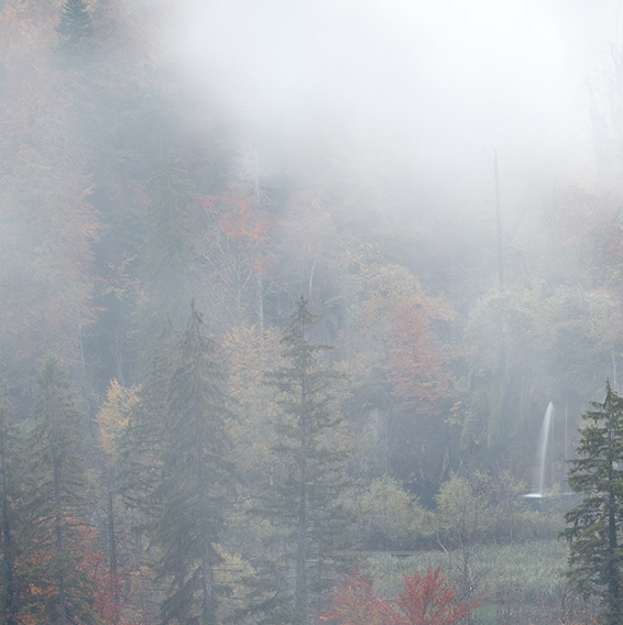 梅州粉象生活收费