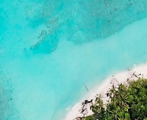 粉象生活如何申请开店