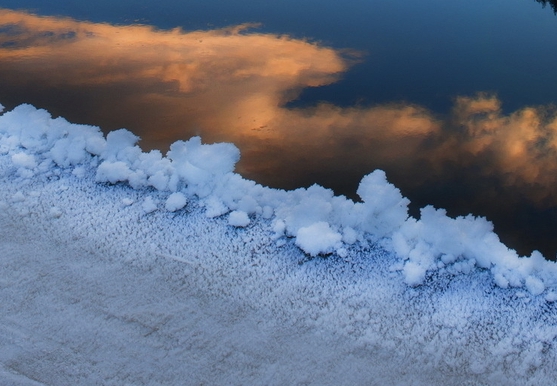 粉象生活如何返利