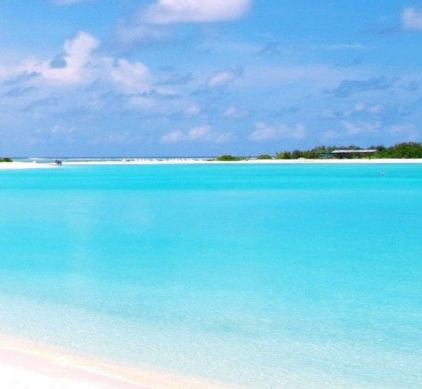 粉象生活是什么?