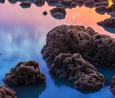 粉象生活怎么赚钱的