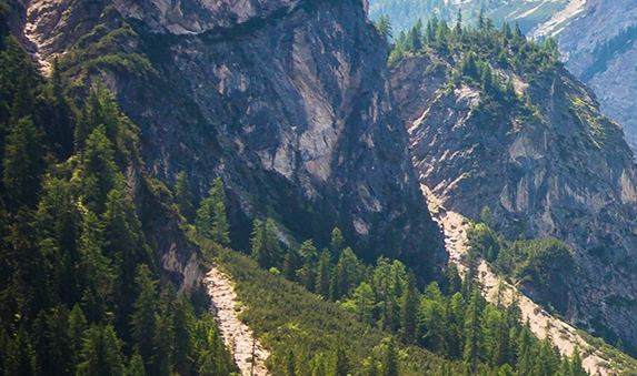 粉象生活分现金页面截图