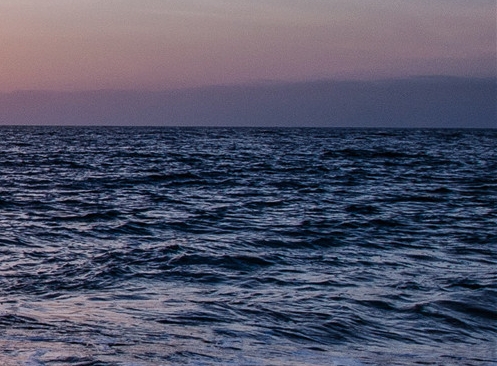 大庆粉象生活app