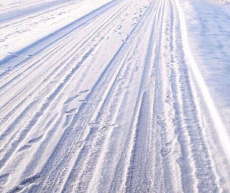 粉象生活宝妈如何挣钱