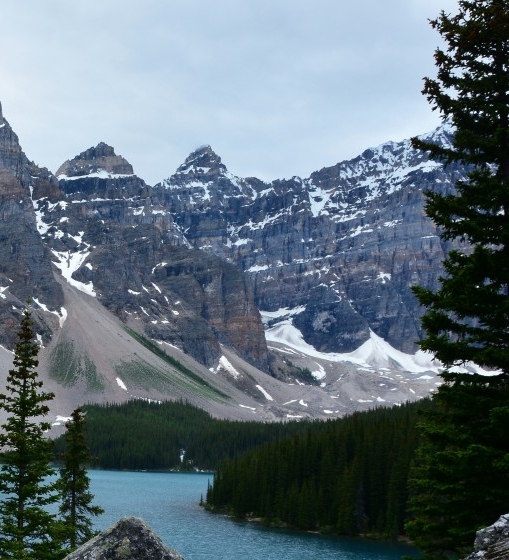 广州粉象生活收费