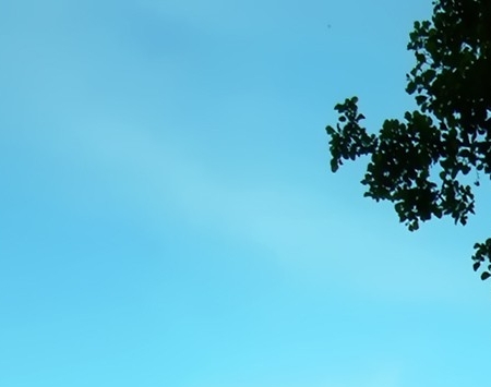 粉象生活粉丝怎么增加