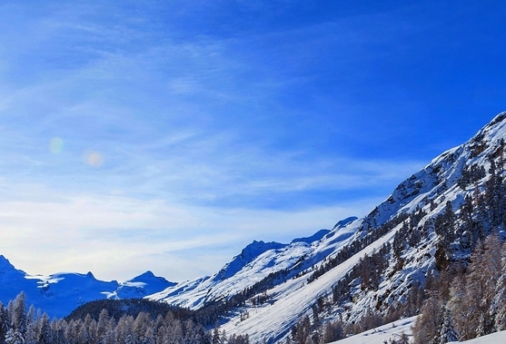 粉象无限领红包