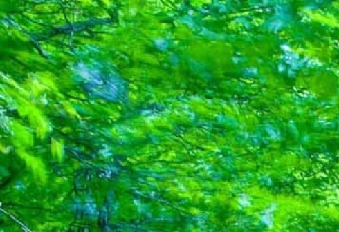 粉象生活能赚到钱吗