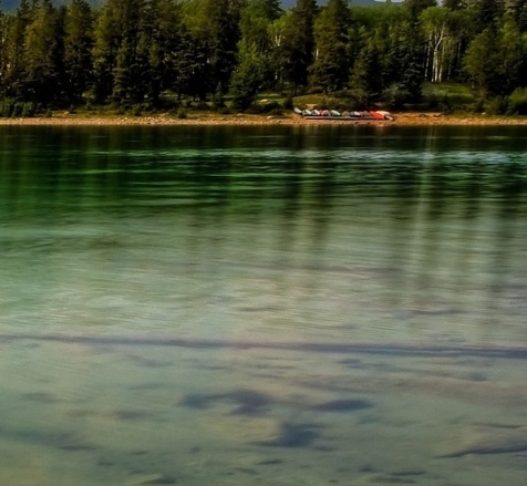 佛山粉象生活佣金