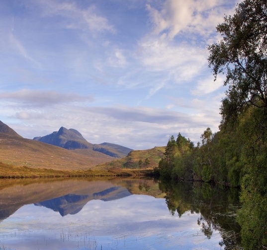 详细解读粉象生活